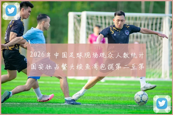 2026年中国足球现场观众人数统计国安独占鳌头梭鱼湾包揽第二至第七位