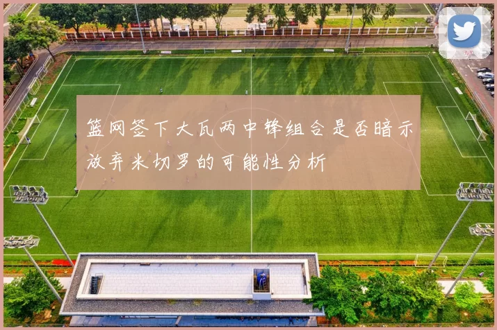 篮网签下大瓦两中锋组合是否暗示放弃米切罗的可能性分析